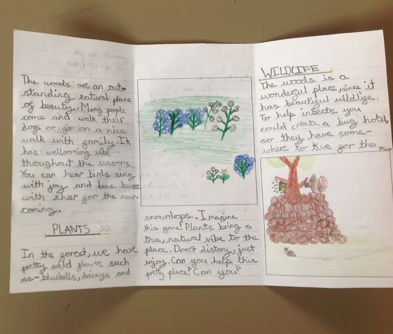 Gallery - created at 2023-06-30 16:35:37 - image 2 Gallery - created at 2023-06-30 16:35:37 - image 2