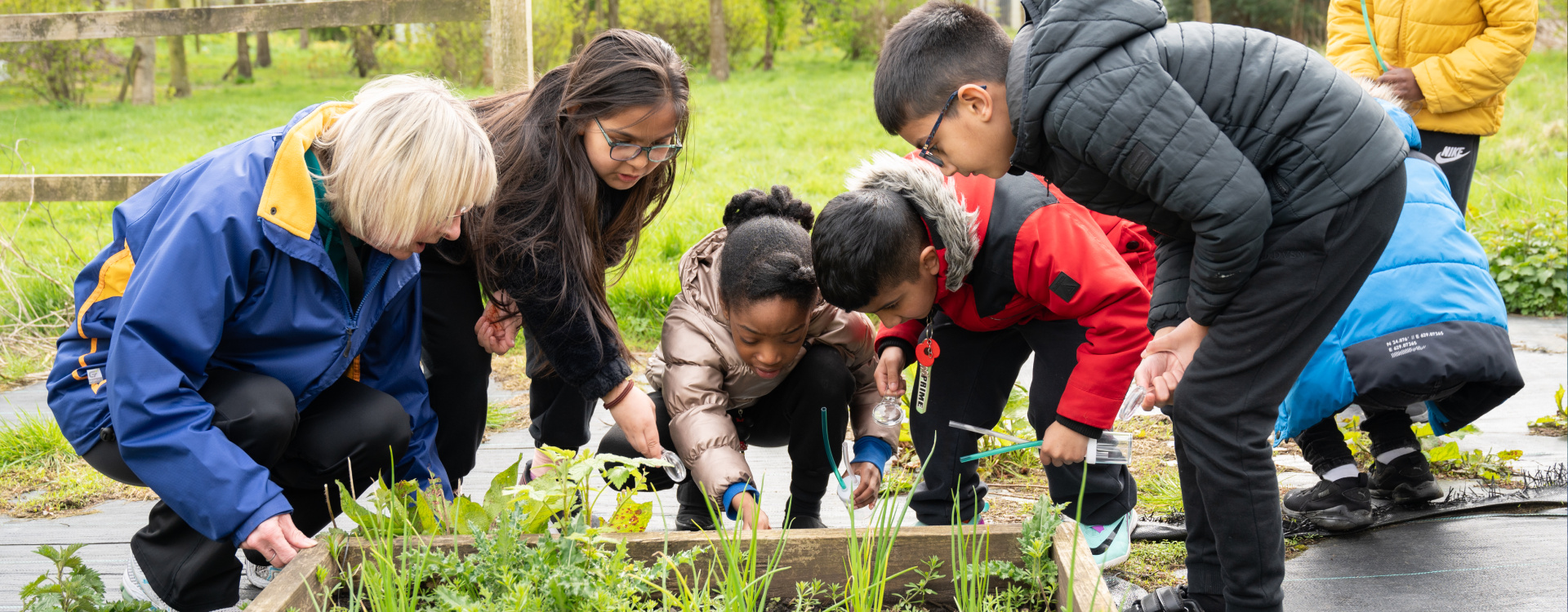Slideshow 9