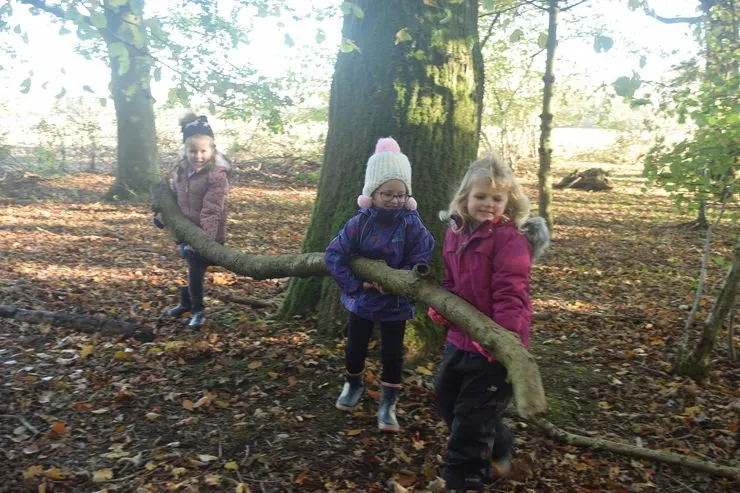 Gallery 4 - image 10