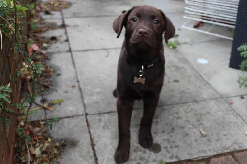 Gallery - created at 2021-06-30 13:57:57 - image 4