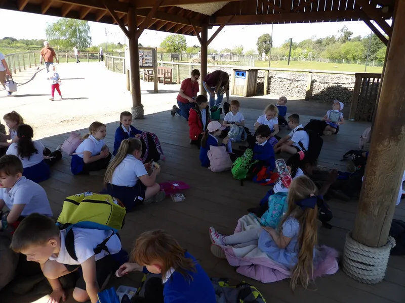 Y3 Yorkshire Wildlife Park Trip - image 19