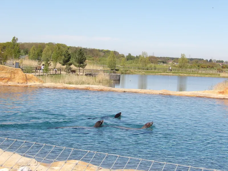 Y3 Yorkshire Wildlife Park Trip - image 11