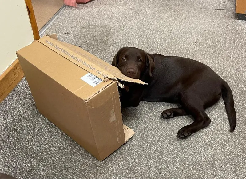 Gallery - created at 2021-06-30 13:57:57 - image 34