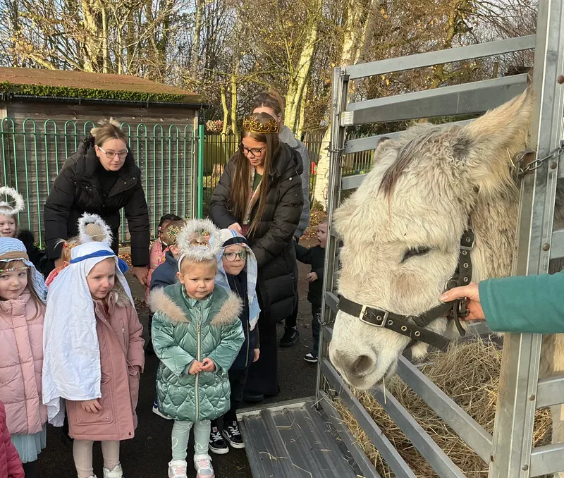 Stella farm on wheels Part 1 - image 22