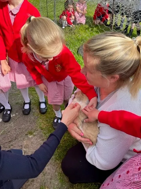 Gallery - created at 2023-05-26 11:48:29 - image 1