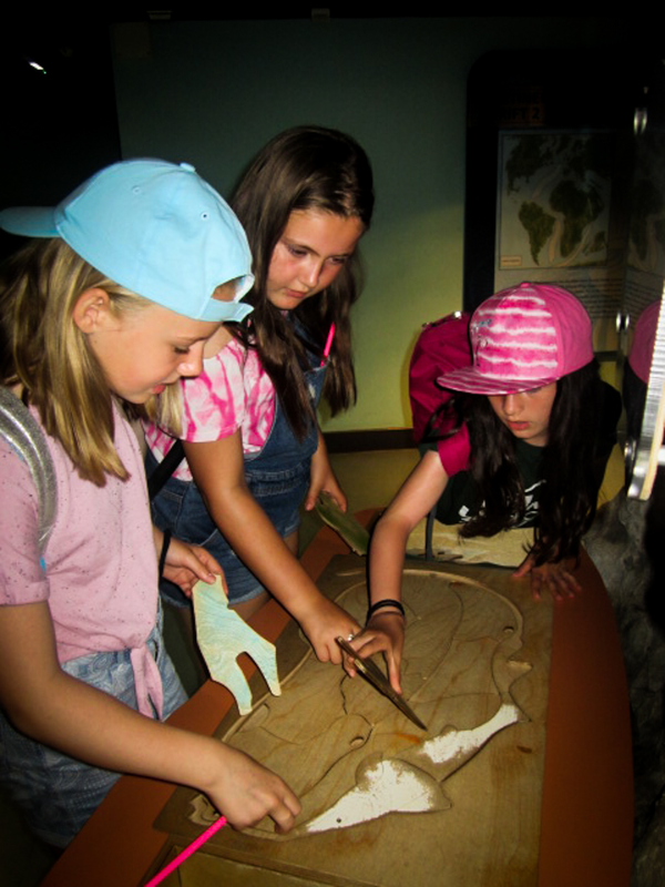 84IMG_3071.jpg