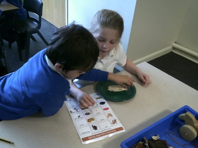 Y4 Roman Archaeology Workshop - image 20