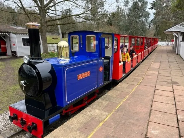 Gallery - created at 2023-03-02 18:35:22 - image 5