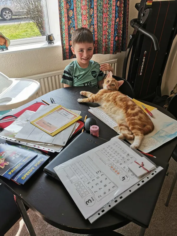 Gallery - created at 2020-04-23 21:25:26 - image 14 Gallery - created at 2020-04-23 21:25:26 - image 14