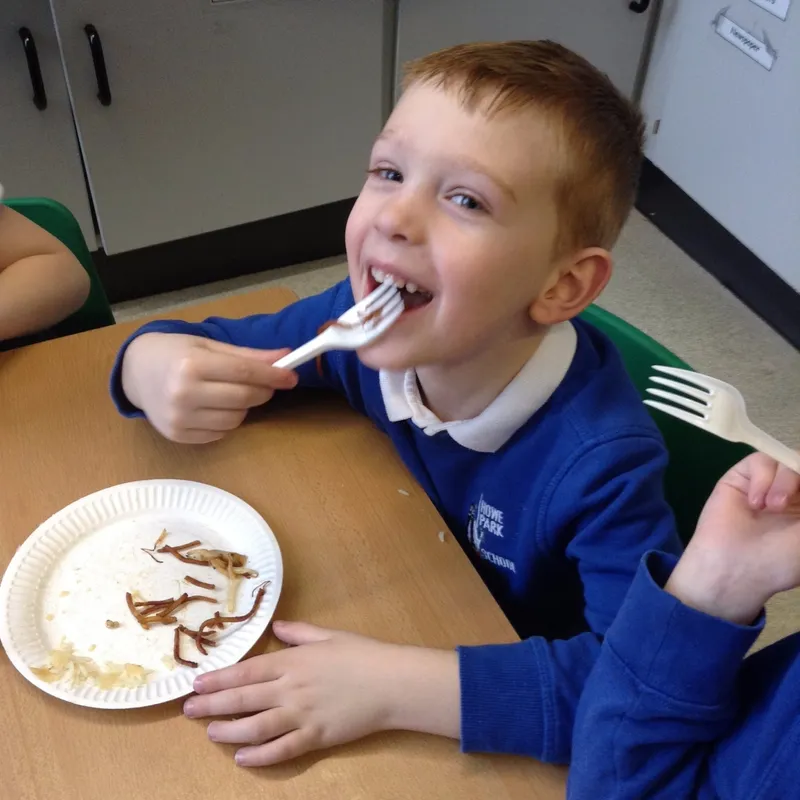 Gallery - created at 2017-10-05 10:46:52 - image 1