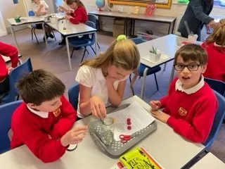 Gallery - created at 2022-10-05 12:35:04 - image 10