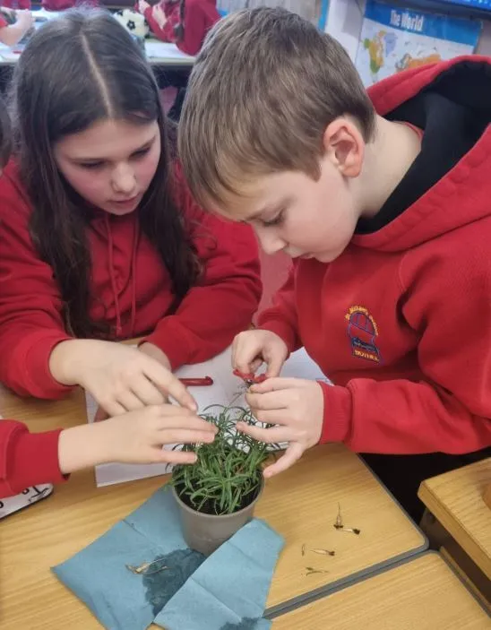 Gallery - created at 2023-04-13 12:54:34 - image 1