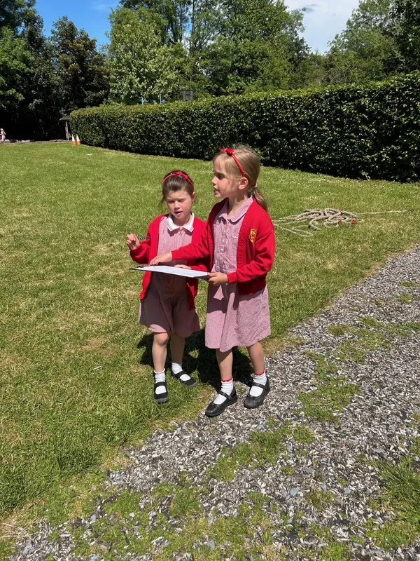 Gallery - created at 2024-06-23 11:24:09 - image 3