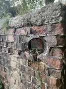 Forest School 120 - image 3 Forest School 120 - image 3
