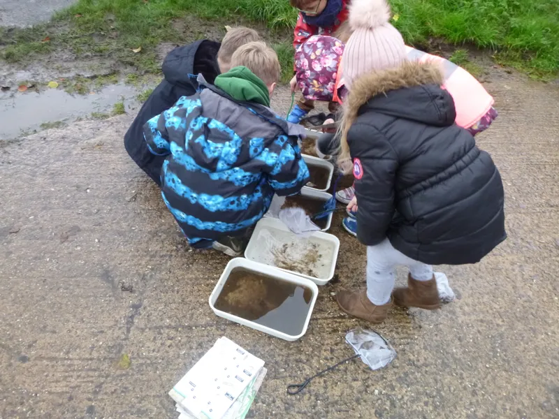 Gallery - created at 2019-12-16 15:12:33 - image 2