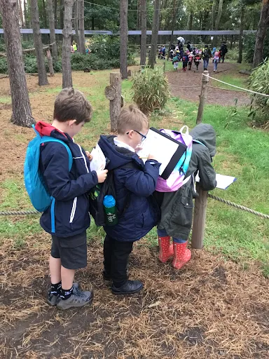 Gallery - created at 2024-09-23 10:09:52 - image 4 Gallery - created at 2024-09-23 10:09:52 - image 4