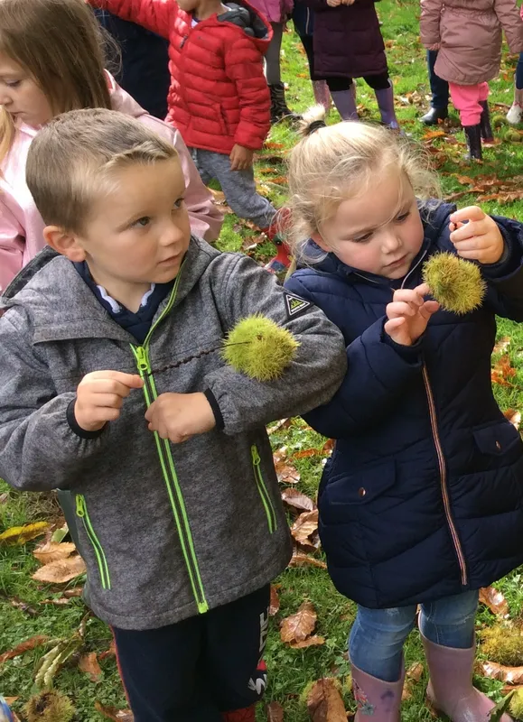 Gallery - created at 2020-02-19 13:46:28 - image 3