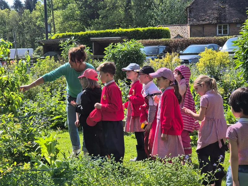 Gallery - created at 2024-05-10 11:40:23 - image 24