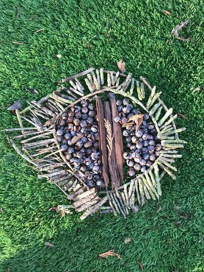 Spring 2023 - January 18th - Oaks - Viking Shields and Runes - image 2 Spring 2023 - January 18th - Oaks - Viking Shields and Runes - image 2