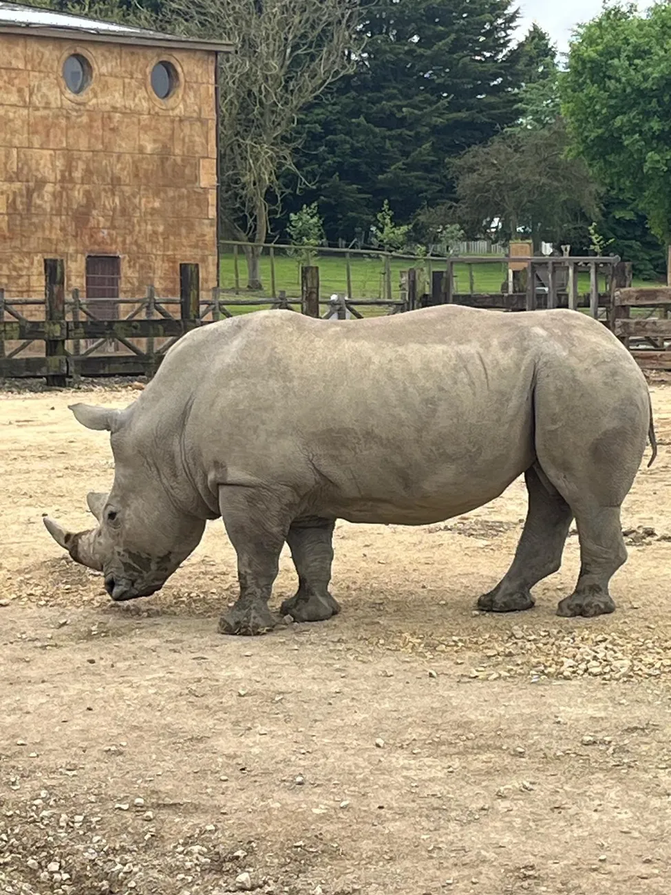 Gallery - created at 2024-06-06 15:03:55 - image 75