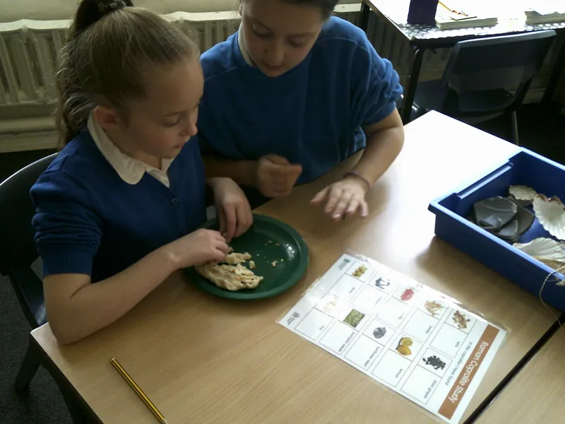 Y4 Roman Archaeology Workshop - image 16