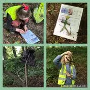 Forest School 36 - image 2 Forest School 36 - image 2
