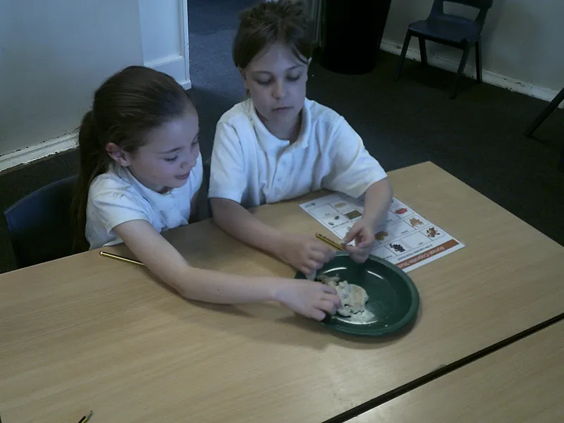 Y4 Roman Archaeology Workshop - image 37