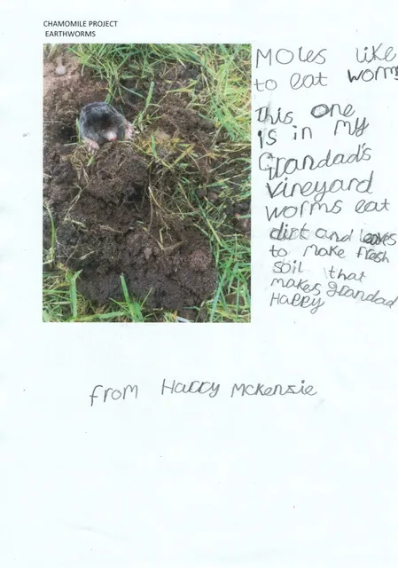 Gallery - image 16