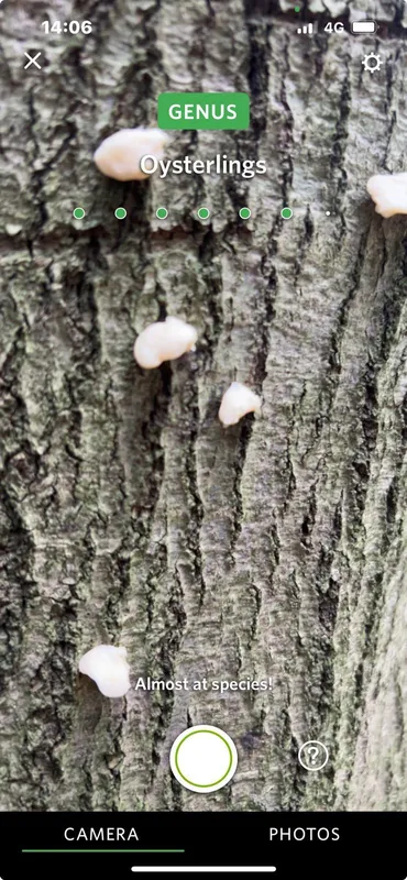 Gallery - created at 2025-11-22 17:18:06 - image 2 Gallery - created at 2025-11-22 17:18:06 - image 2