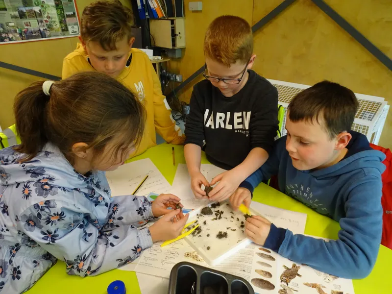 Gallery - created at 2019-05-17 14:29:26 - image 6 Gallery - created at 2019-05-17 14:29:26 - image 6