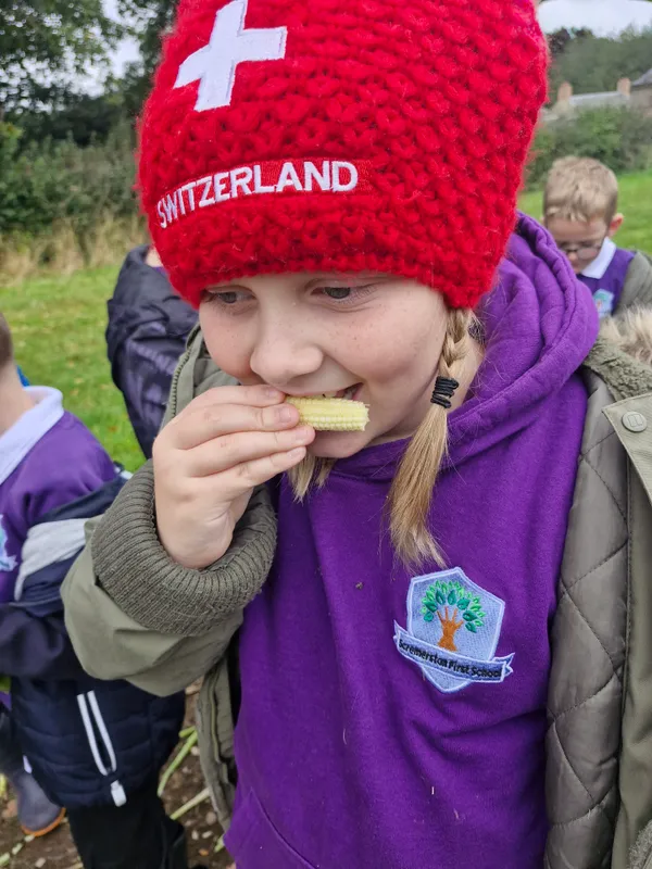 Gallery - created at 2024-10-02 11:38:57 - image 8 Gallery - created at 2024-10-02 11:38:57 - image 8