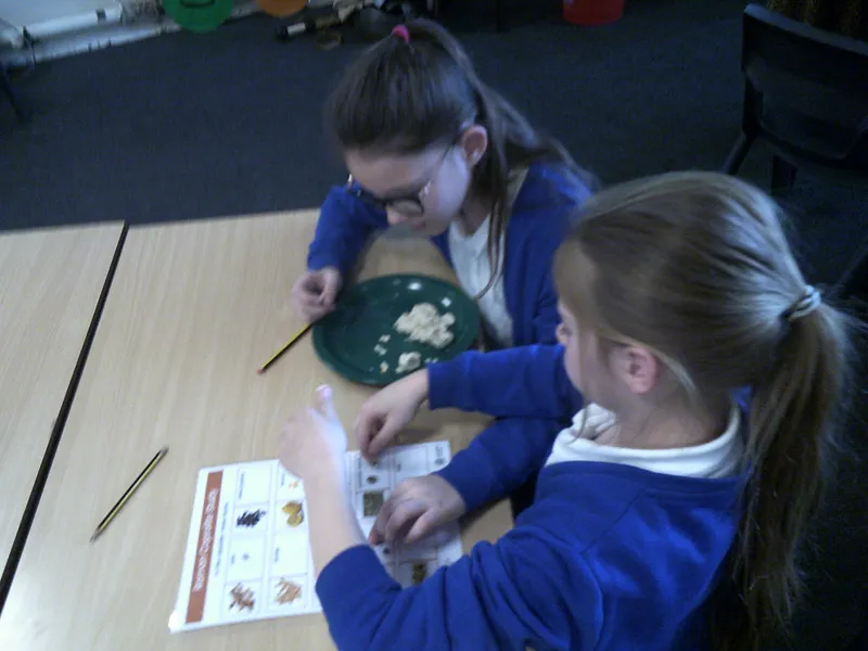 Y4 Roman Archaeology Workshop - image 38