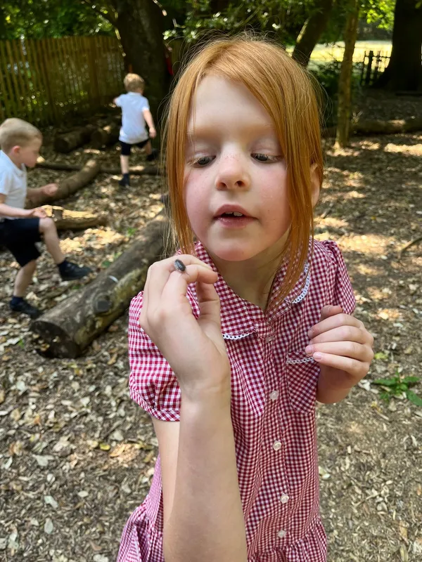 Gallery - created at 2023-06-09 12:14:52 - image 8