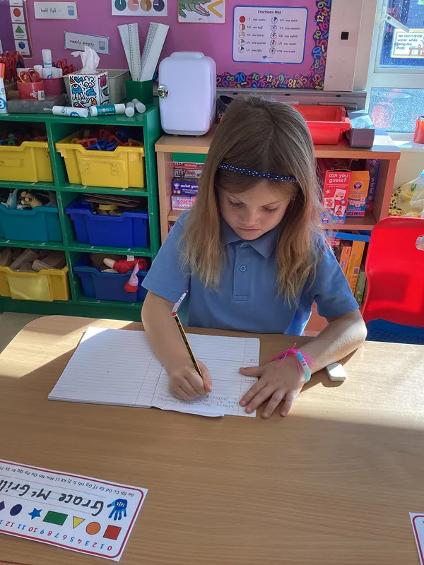 Primary 3 Mrs Johnston's Class Literacy - image 5