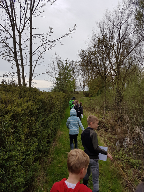 20180423_153730.jpg