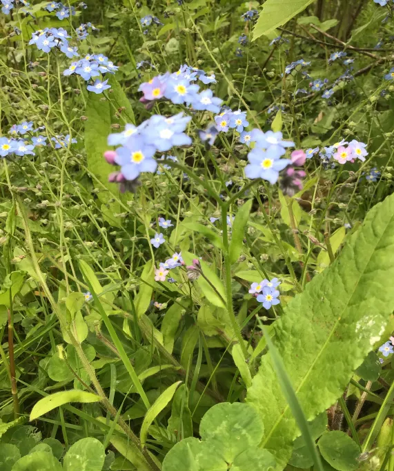 Gallery - created at 2022-12-06 11:29:49 - image 6