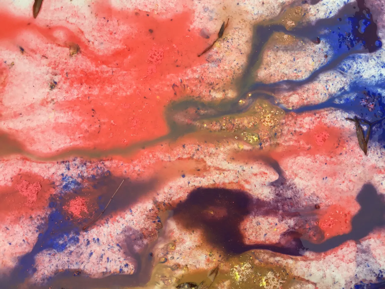 Gallery - created at 2022-11-15 10:36:24 - image 8 Gallery - created at 2022-11-15 10:36:24 - image 8