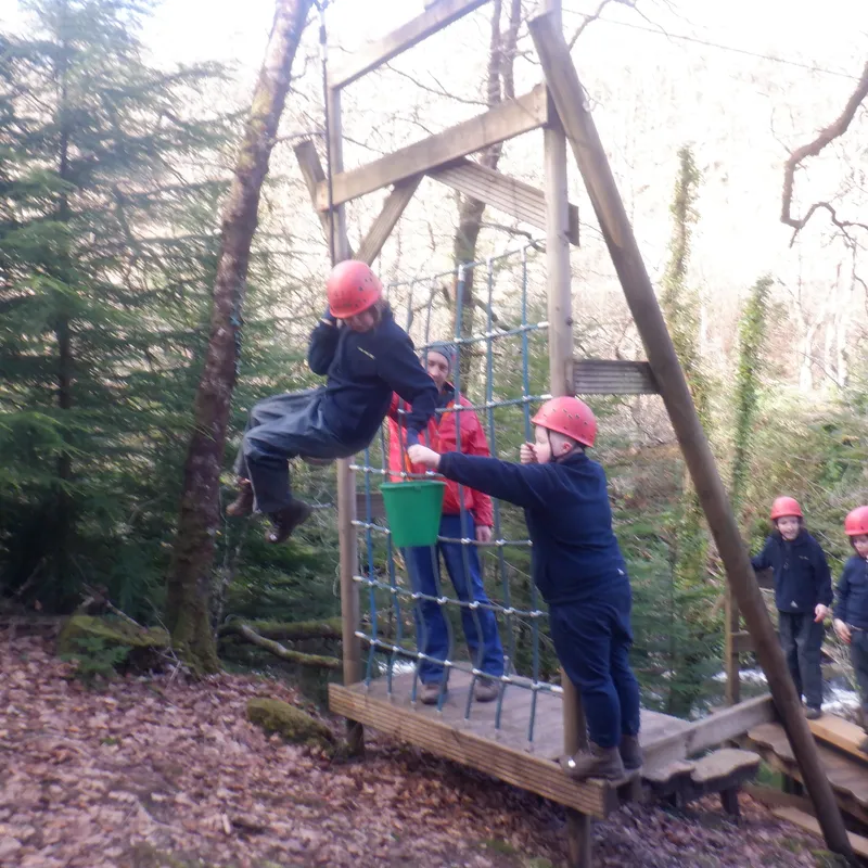 Gallery - created at 2025-02-27 19:57:56 - image 6