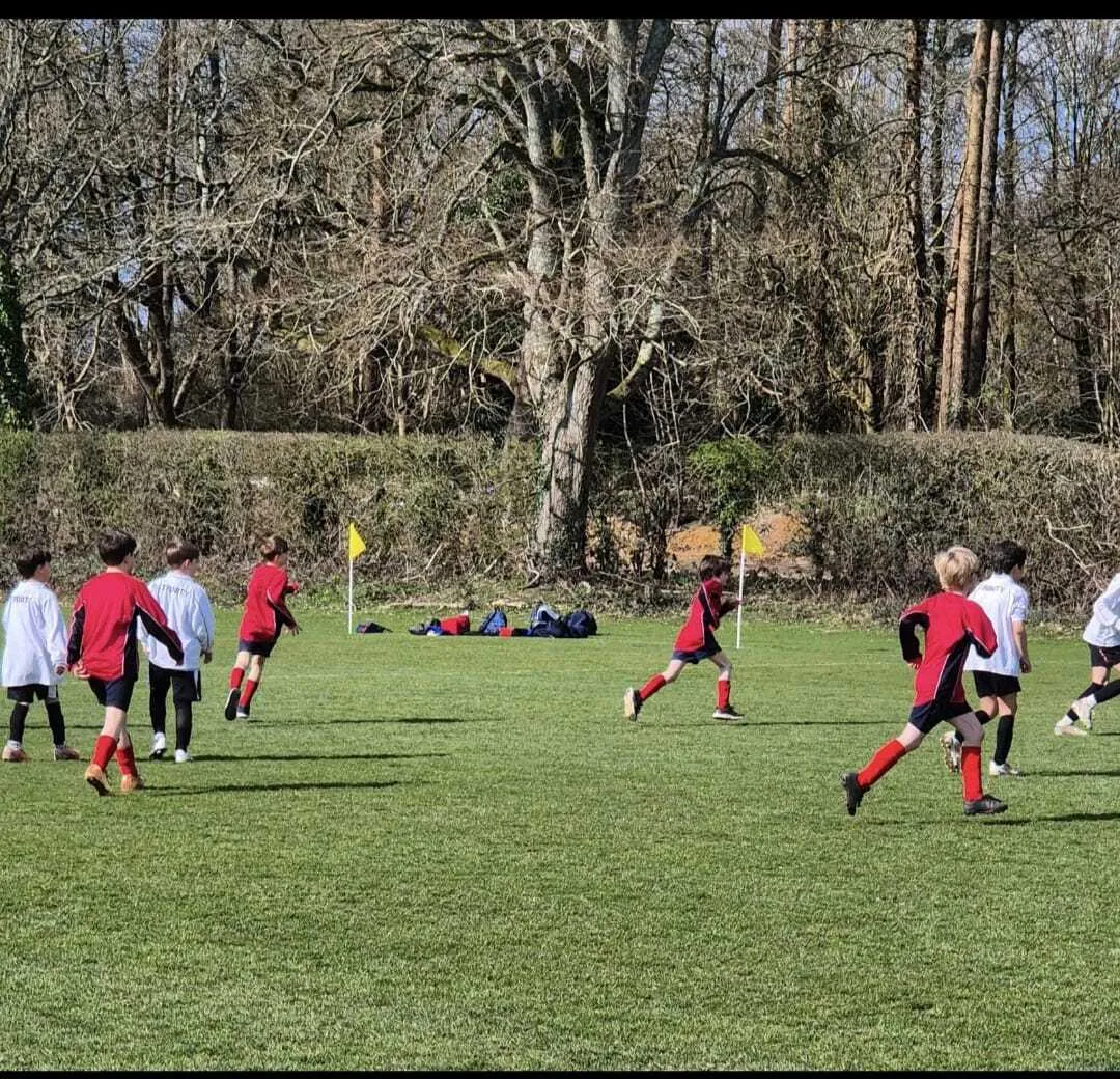 Gallery - created at 2025-08-04 12:03:35 - image 23