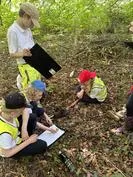 Forest School 67 - image 1 Forest School 67 - image 1