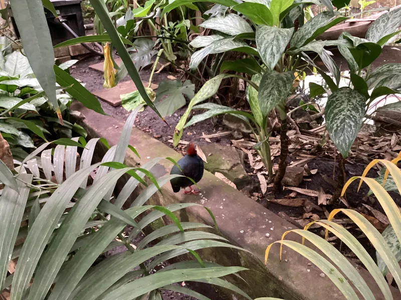 Gallery - created at 2025-03-14 10:11:21 - image 29 Gallery - created at 2025-03-14 10:11:21 - image 29