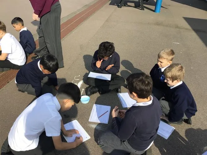 Year 3LB 13.03.2026 - image 2