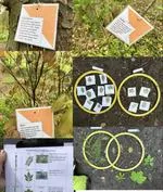 Forest School 71 - image 3 Forest School 71 - image 3