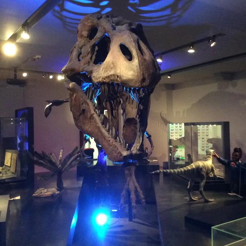 Gallery - created at 2024-02-15 10:35:32 - image 16 Gallery - created at 2024-02-15 10:35:32 - image 16