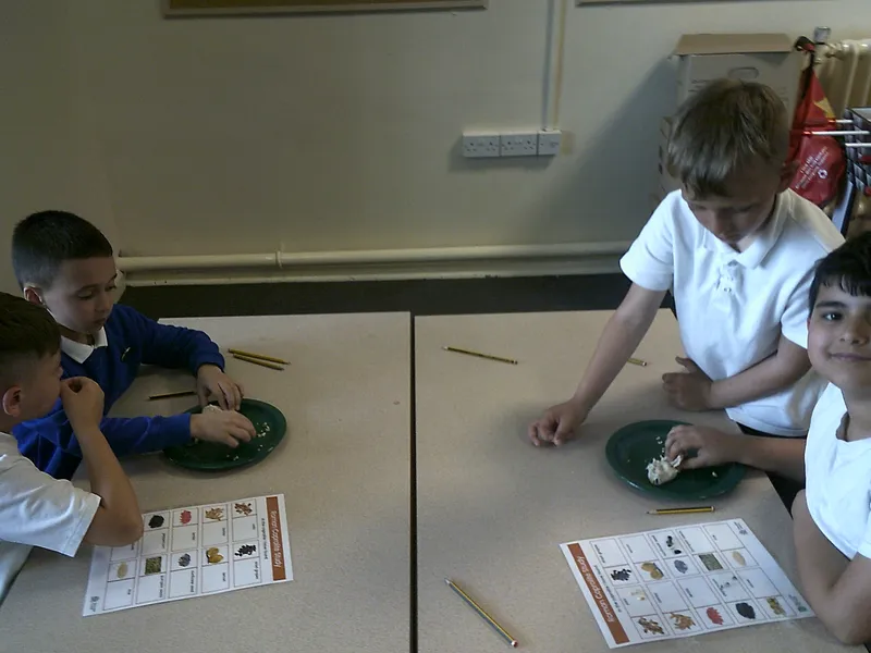 Y4 Roman Archaeology Workshop - image 36