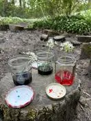 Forest School 39 - image 1 Forest School 39 - image 1