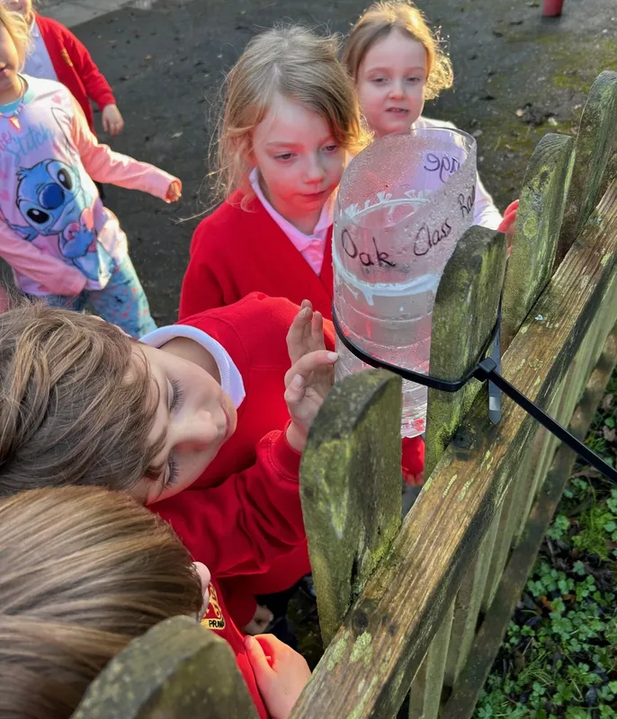 Gallery - created at 2024-11-28 18:12:19 - image 4