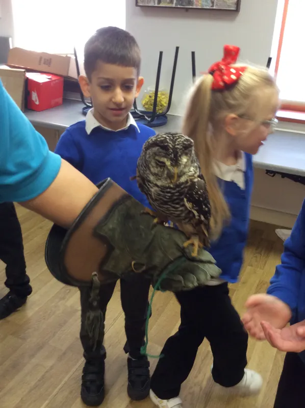 Gallery - created at 2024-02-26 17:15:57 - image 31 Gallery - created at 2024-02-26 17:15:57 - image 31