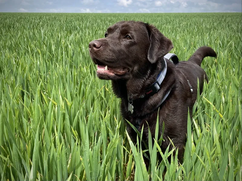 Gallery - created at 2021-06-30 13:57:57 - image 25