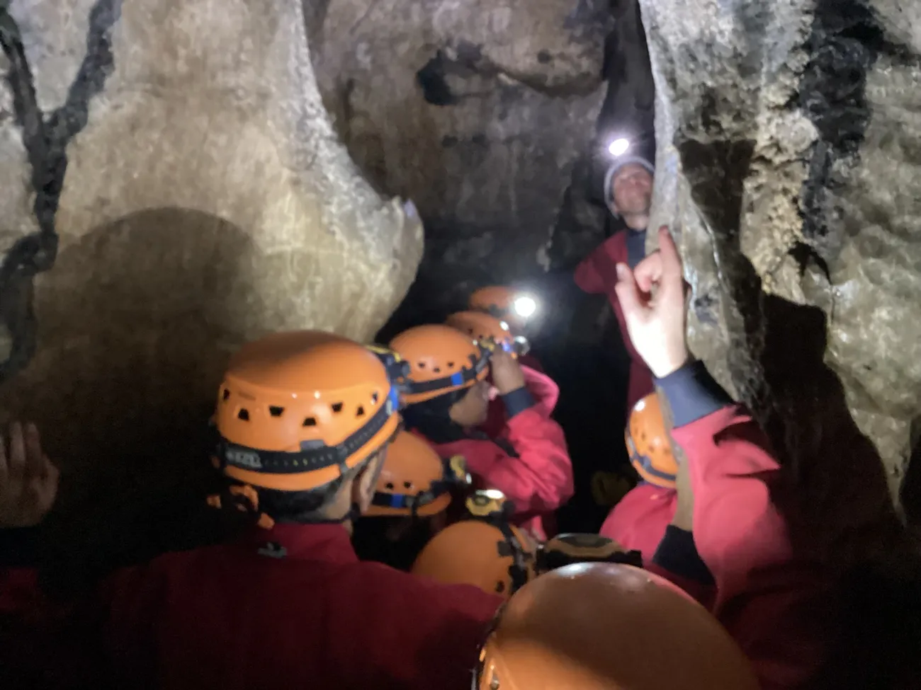 Gallery - created at 2024-09-19 19:43:35 - image 13 Gallery - created at 2024-09-19 19:43:35 - image 13